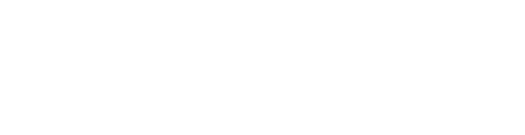 Visoid AI